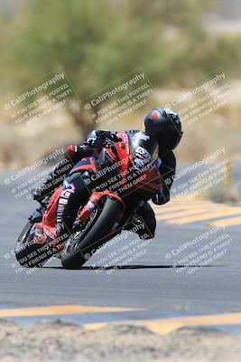 media/May-14-2023-SoCal Trackdays (Sun) [[024eb53b40]]/Turn 5 Tree of Life (1125am)/